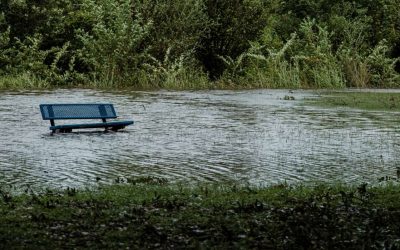 Una niña, primera víctima mortal conocida del huracán Laura en EE.UU.