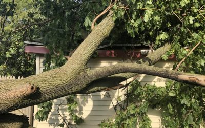 Fuertes lluvias ocasionan destrozos en Grand Rapids